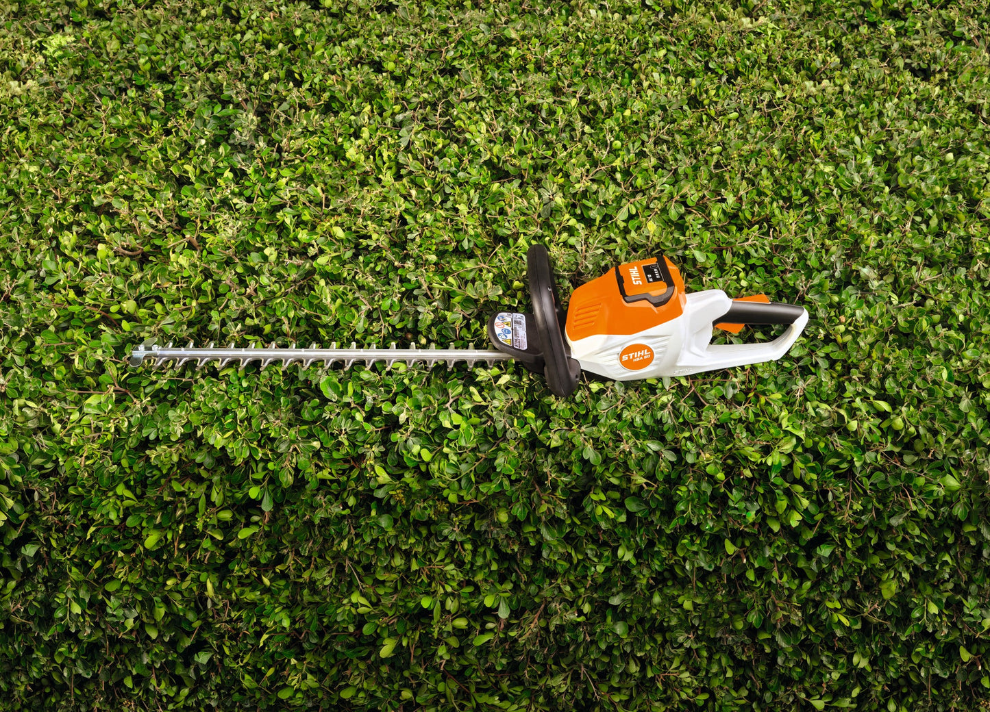 HSA 50 _ STIHL