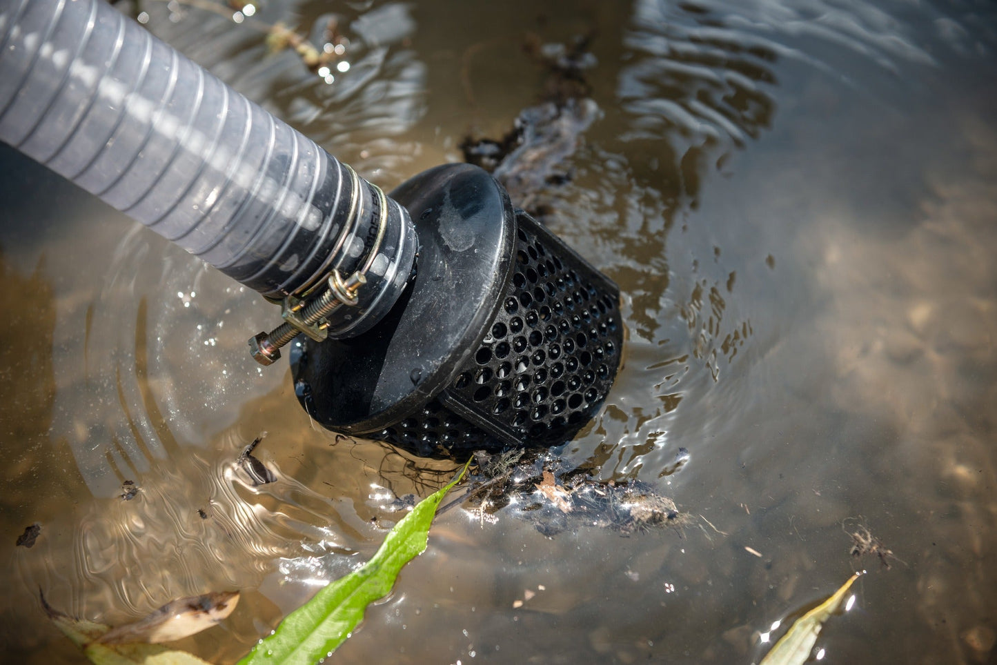 WP 230 en línea _ STIHL